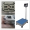 0.1t 300x300mm Industrial Weighing Scales 100kg Electronic Weighing Machine